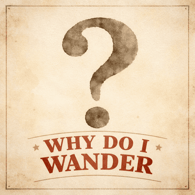 Why Do I Wander